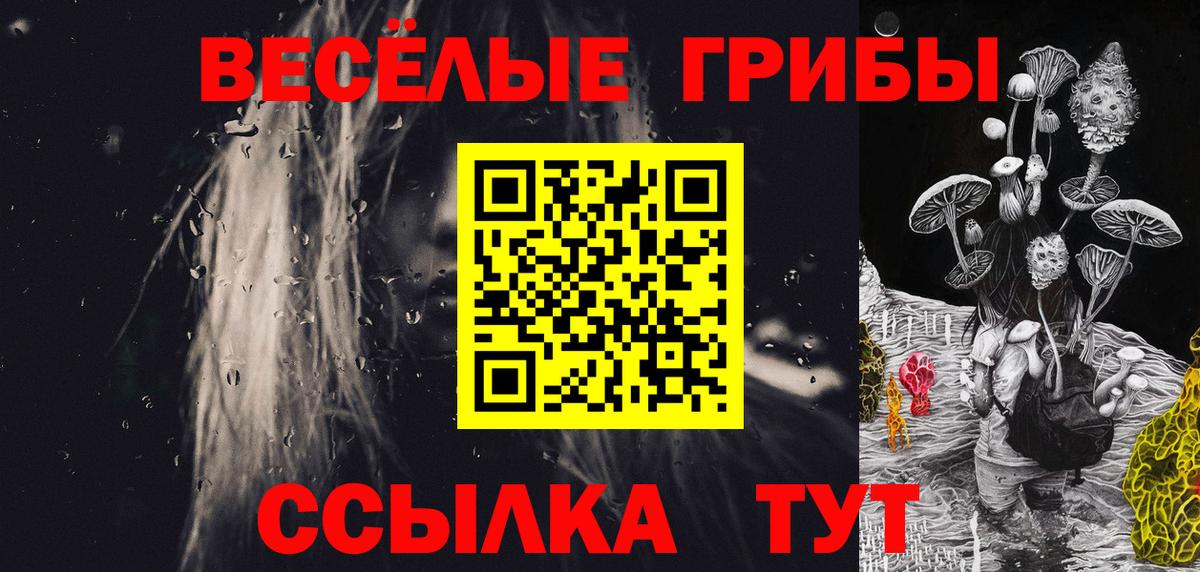 Зеленодольск  дарнет шоп  Вход с VPN  Псилоцибиновые грибы Psilocybe 